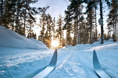 59f178dd - a09f - 471b - 82a4 - 8dc830270193