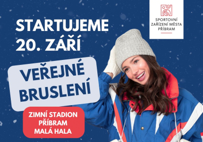 Verejnebrusleni